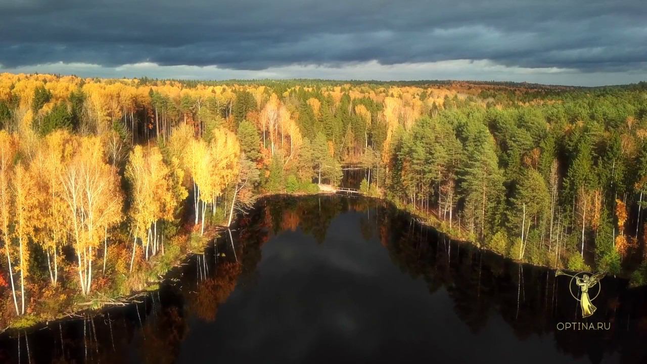 Лесное озеро вблизи монастыря Оптина пустынь