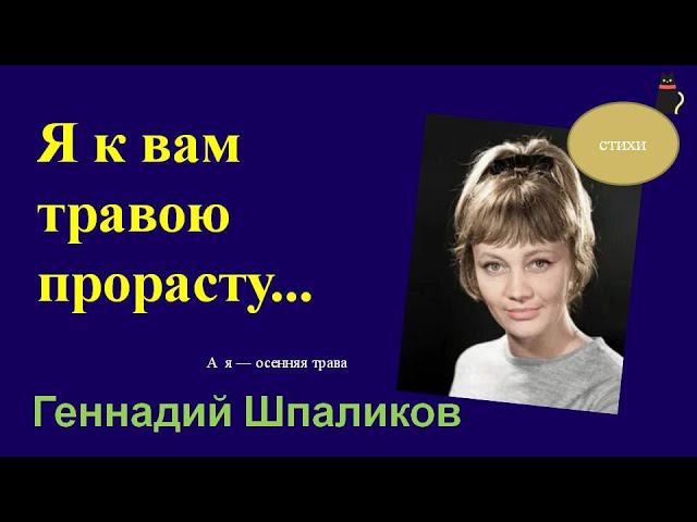 Довели мужика. Шпаликов Геннадий. смотреть онлайн