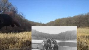 Ново-Горловка. Осень 2021г. Воробьёвский лес. Всем кому за 60 и чуток моложе- Вам непременно со мной