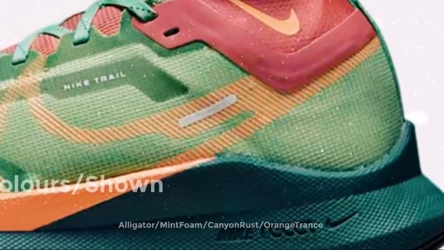 Nike React Pegasus Trail 4 GORE-TEX DJ9229-300/WMNS Water Proof Trail Running Shoes смотреть онлайн