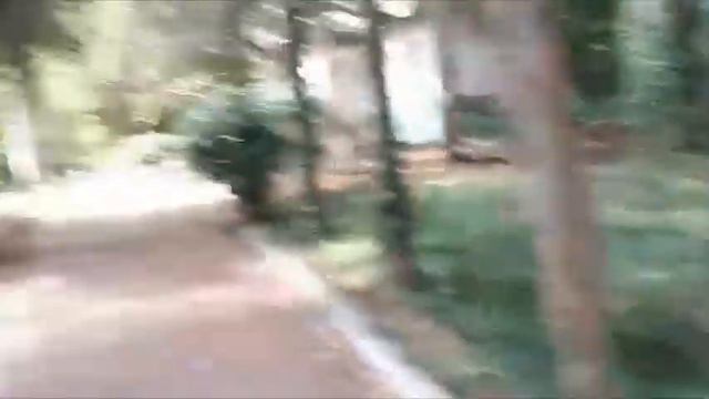 За сколько можно дойти от участка до моря не спеша. смотреть онлайн