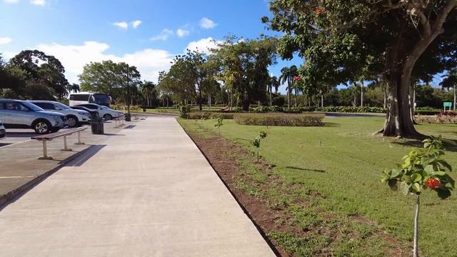 ЗИМА - ЛЕТО, СВОИМ ХОДОМ В ДОМИНИКАНУ! смотреть онлайн