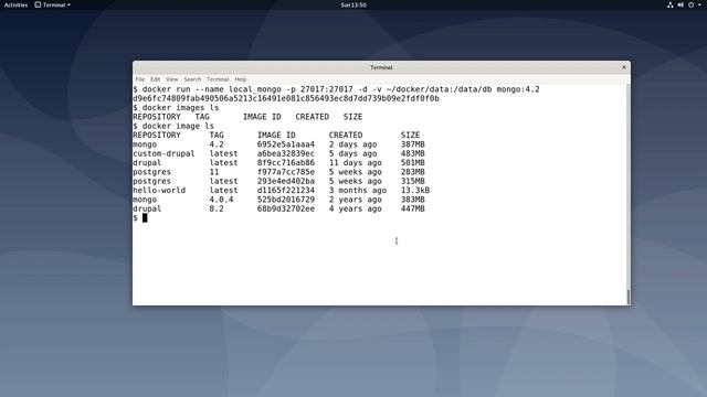 Como executar servidor MongoDB usando Docker смотреть онлайн
