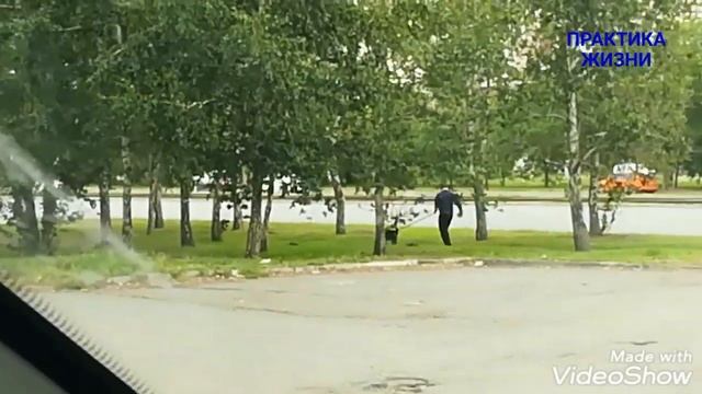 СОБАКА ГУЛЯЕТ ХОЗЯИНА смотреть онлайн