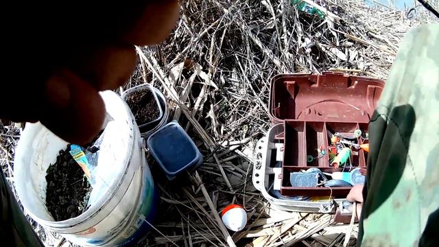 ОЧЕНЬ МНОГО САЗАНА. РЫБАЛКА 2022.СРЕДНИЙ КАНАЛ ДАГЕСТАН смотреть онлайн