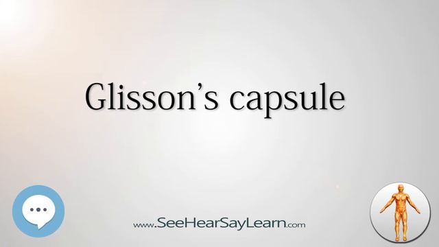 Glisson's capsule Anatomy Named After People 🔊 смотреть онлайн