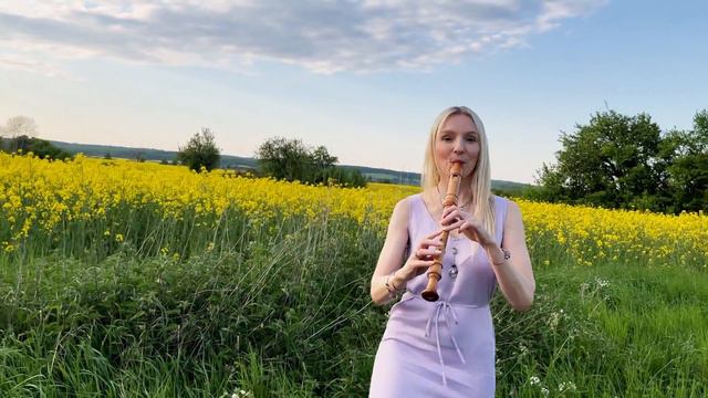 The Wheels of the World ♫ Irish Reel played with Recorders смотреть онлайн