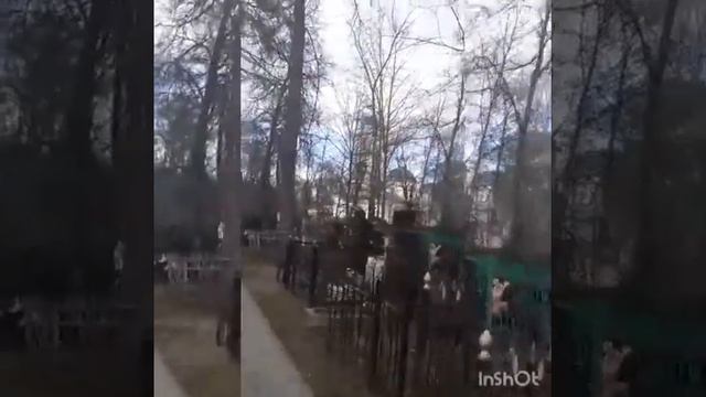 ВАГАНЬКОВО ПОДВИЖНИКИ БЛАГАЧЕСТИЯ ОТЕЦ ВПЛЕНТИН АМФИТЕАТРОВ смотреть онлайн