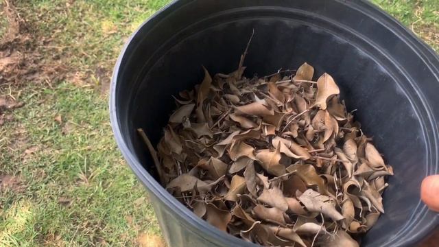Un Micro Huerto Para Mis Piñas смотреть онлайн