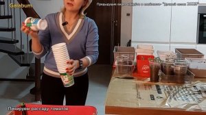 Когда и Как Пикировать Томаты после всходов. @galabum