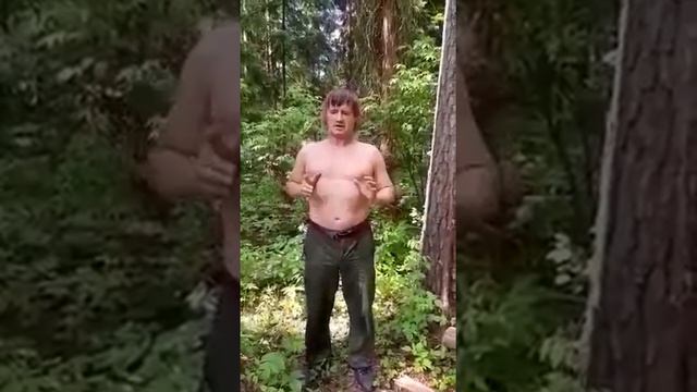 Партнеры Компании на карантине смотреть онлайн