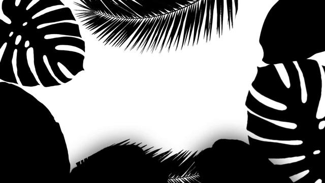 02 Tropical transition (Vignettes) Matte footage смотреть онлайн