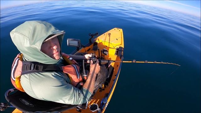 Deep Dropper Loop Fishing | Techniques for Winter Time Yellowtail Kayak Fishing смотреть онлайн