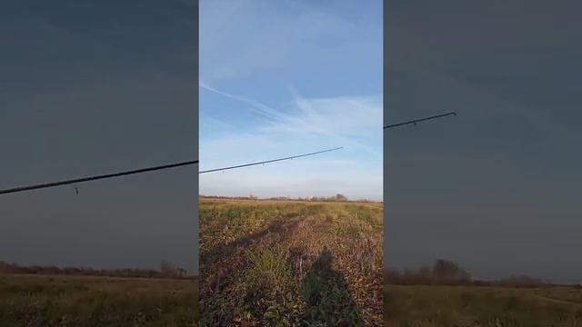 ЗАПУСКАЕМ ЛЕТУЧЕГО ЗМЕЯ С УДОЧКИ! смотреть онлайн