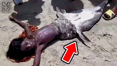 日本にもいた！ 人魚を捉えた証拠映像の数々 смотреть онлайн