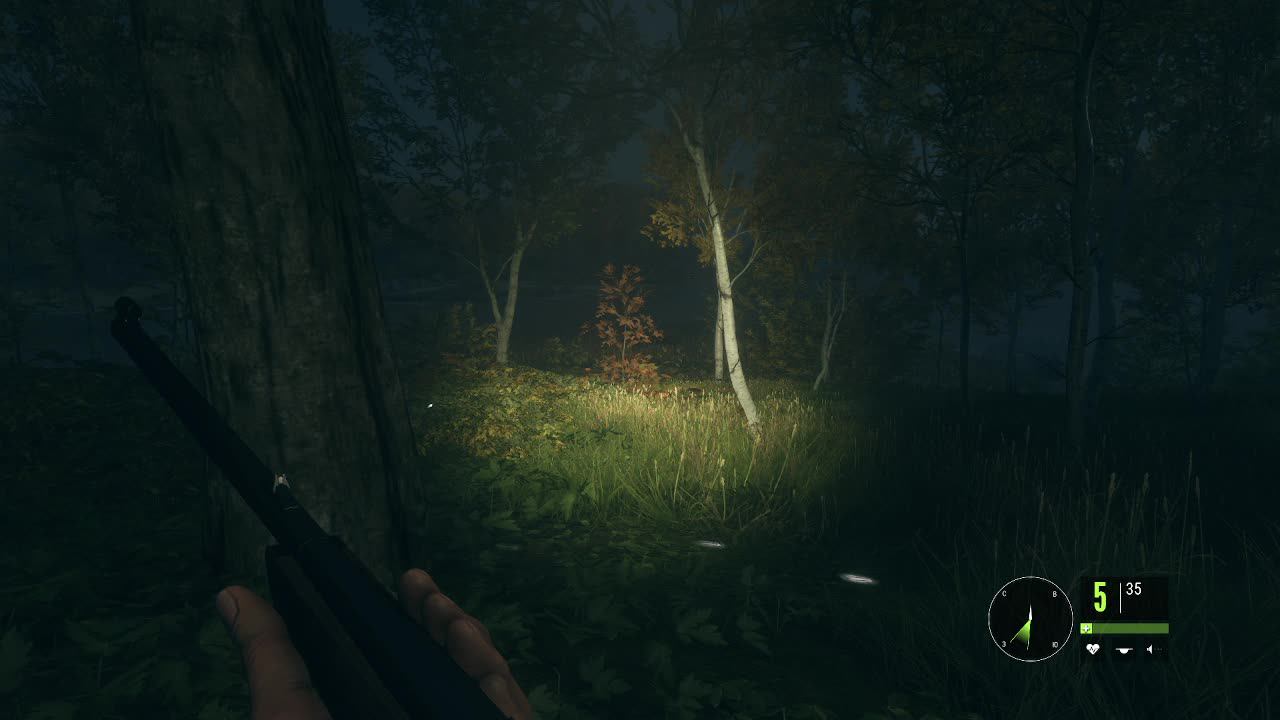 TheHunter: Call Of The Wild