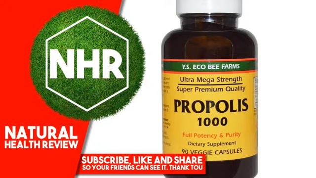 Y.S. Eco Bee Farms, Propolis 1000, 500 Mg, 90 Veggie Caps