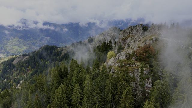 4K Видео смотреть онлайн