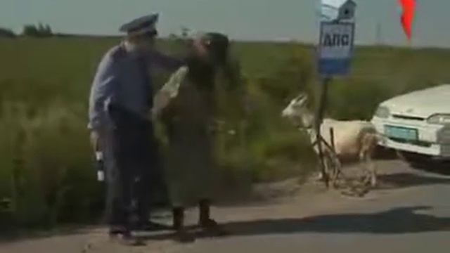 Анекдот про дпс смотреть онлайн