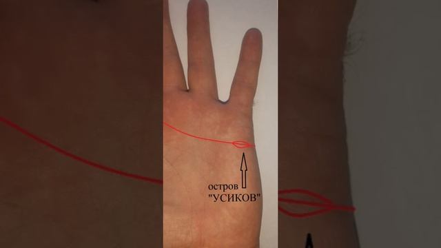 "Усики" на женском лице и знак на ладони смотреть онлайн