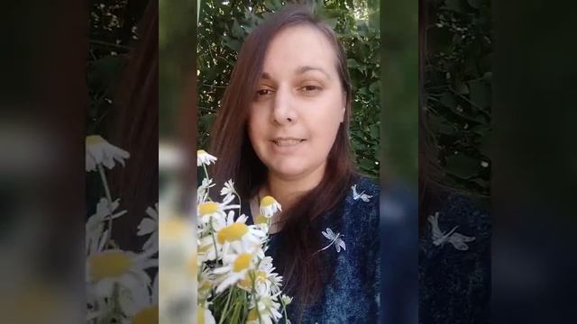 Сбор ромашки и почему надо жить без родителей. Дауншифтинг. смотреть онлайн