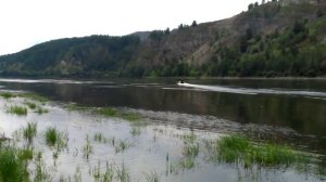 Касатка 335 + Гладиатор 9,9