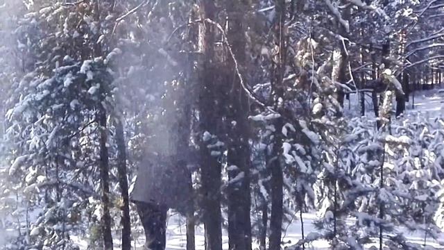 VLOG №16⁄Сибирь⁄13.11.16 смотреть онлайн