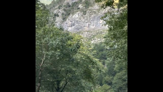 МЕДИТАЦИЯ "ВЫХОД СТРАХА ИЗ ТЕЛА" смотреть онлайн