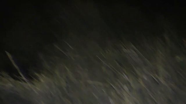 ШУРФ ФУНДАМЕНТА С БРАТИШКОЙ ПРОДОЛЖЕНИЕ 2021 | ПОИСК МОНЕТ И ШМУРДЯКА #8 смотреть онлайн