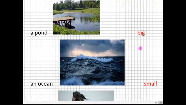 14.Is an elephant big? Is an elephant big or small? смотреть онлайн