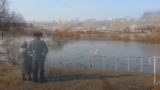 22022015 Пришла весна в Курасовщину, прилетели лебеди, вдх Лошица в парк Белая дача, Минск, Беларус смотреть онлайн