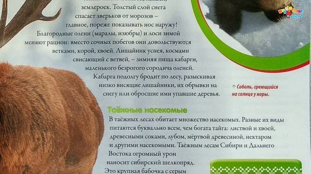 Моя страна Собери карту России от Hachette, выпуски 34, 35 и 36 + обзор страниц журналов смотреть онлайн