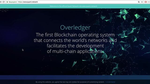Обзор проекта Quant.Network