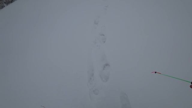 Ловля на жерлицы и блесны 2019. Открытие сезона. Рыбалка в глухозимье смотреть онлайн