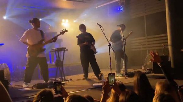 Сироткин - К водопадам | Лилии