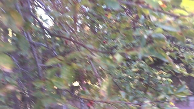 Санатории Кыргызское Взморье