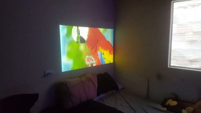Projetor NEC V260X