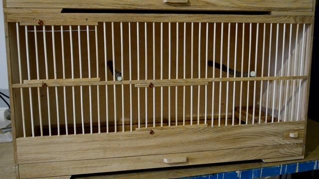 Боксы для насекомоядной птицы. смотреть онлайн