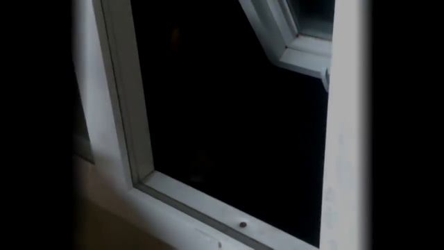 7 МОНСТРОВ ЗА ОКНОМ, СНЯТЫХ НА КАМЕРУ. Зомби Чез смотреть онлайн