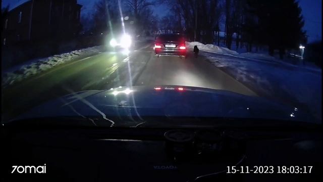 прогулка с собакой на свежем воздухе, не выходя из машины смотреть онлайн