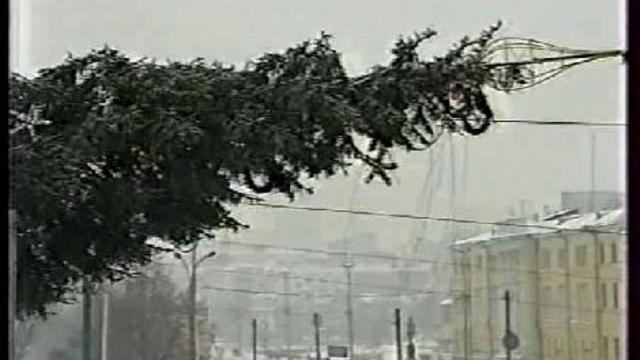 Установка ёлки на пл.1905 года. 1998-1999 г. смотреть онлайн