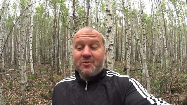 Поход за грибами август 2018 / Сбор подберёзовиков / Грибовница смотреть онлайн
