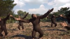 Обезьяны танцуют под лп