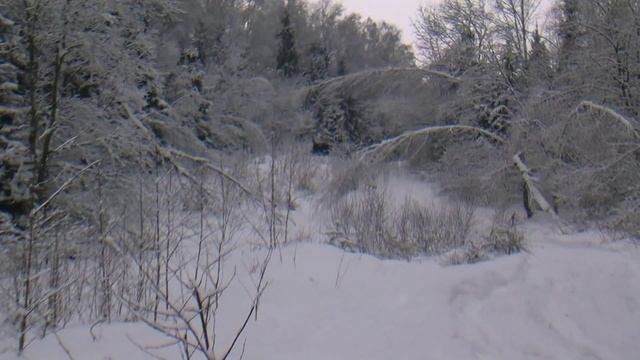 Снежный Десант 2012 (взгляд изнутри) смотреть онлайн