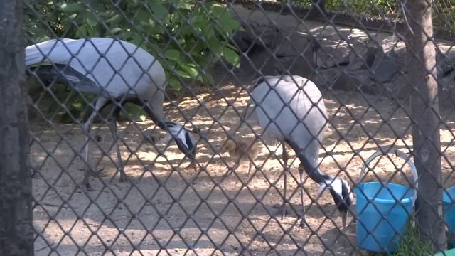 МАМА, ПАПА, Я! Вместе - дружная семья! смотреть онлайн