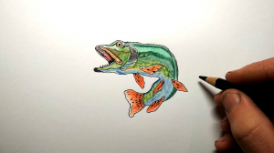 Как нарисовать Щуку