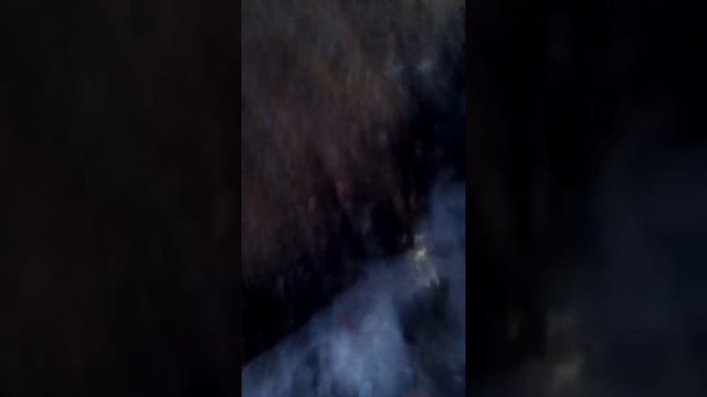 Лужи смотреть онлайн