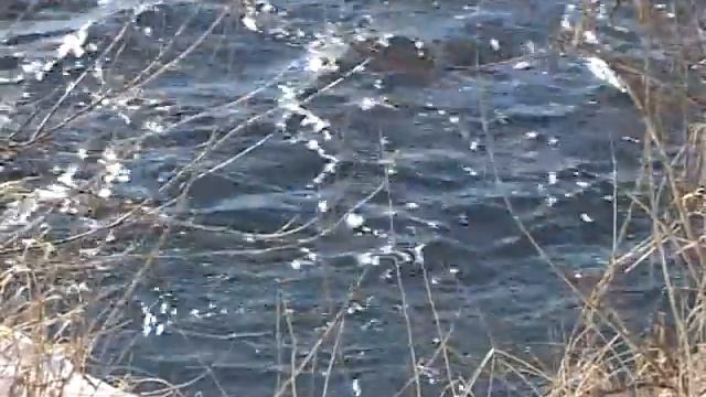 Водоёмы Лабинского района патрулируют казаки. смотреть онлайн