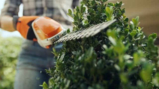 Мультиспрей STIHL в подарок к аккумуляторным ножницам HSA 26 для травы и кустов. смотреть онлайн