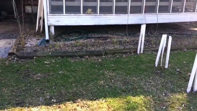 НЕОБЫЧНЫЙ СУП _ СОЛЬ ДЛЯ ВОЗДУХА_ ПОГОДНЫЙ КОНФУЗ